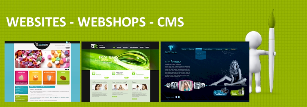 Websites - Webshops - CMs
